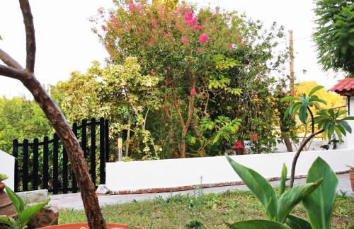 Villa Irene - Photo 4