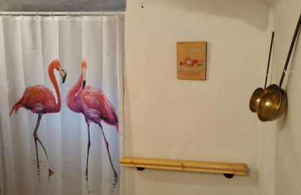 Cueva la Tita del Pan - Foto 14