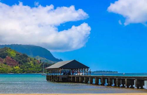 Step to beach New Quiet Kiahuna Plantation Remodeled 2 bedroom condo with AC - Foto 53