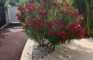 L'Etoile MC / Maison à 30min de Paris - Foto 45