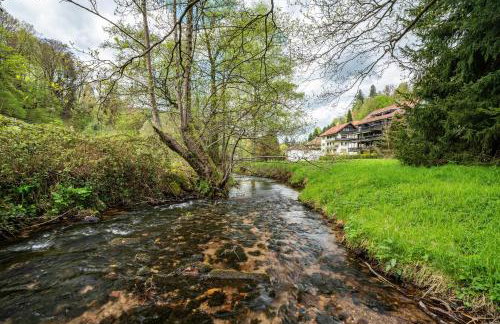 Fewo am Gaisbach - Foto 30