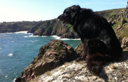 Luxe Detached 3 Bed Luxe House on Exclusive Private Estate Close to Coast Free Hot Tub Sleeps 6 Private Parking for 2 Cars - Photo 27