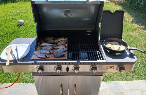 Avdira Dreamin' - Photo 3