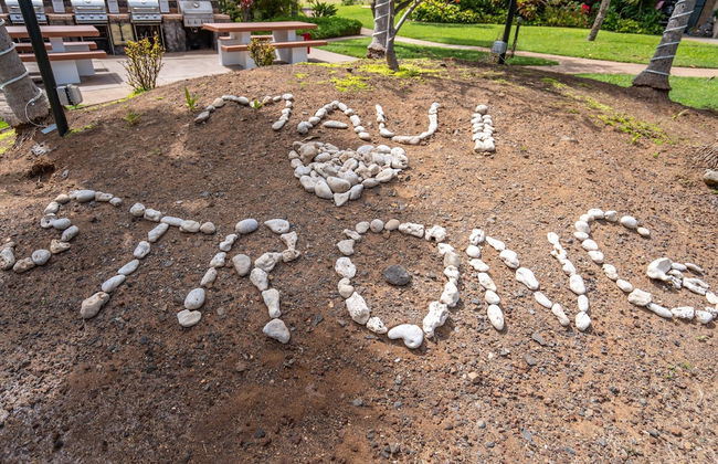 Sea-rene & Tropical Vistas - Photo 15