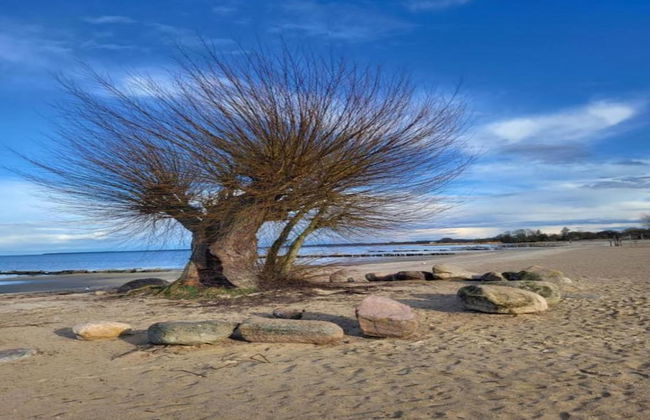 Attractive Holiday Home in Ahlbeck With Terrace - Foto 77