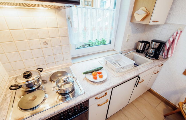 Modish Apartment in Plankenstein near Forest - Photo 8