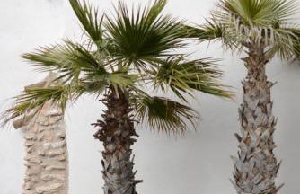 Apartamentos Los Flamencos - Foto 44