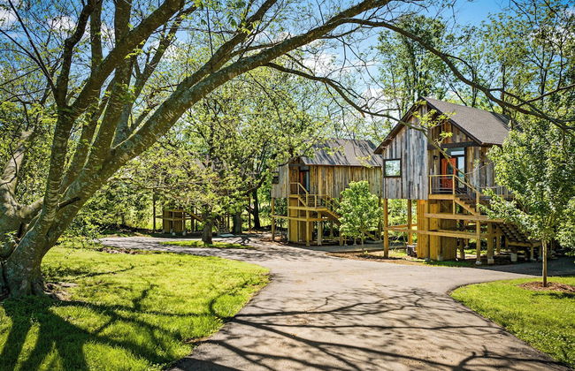 Fairway Treehouses - Photo 34