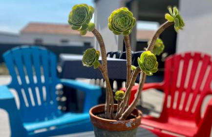 Gîte l'AUBEPINE, Les Herbiers centre - Foto 22