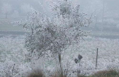 Agriturismo Cascina Rossano - Foto 54