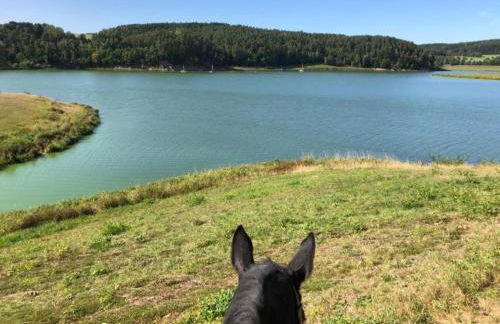 Tiny House, Neunburg vorm Wald - Foto 39