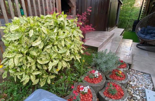 Slow leaving retreat in villa with heated pool, whirlpool, sauna, playground and barbeque in privacy near forest - Foto 9