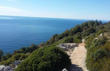 Apartments Nadine Mljet Komfort mit Meerblick - Foto 37