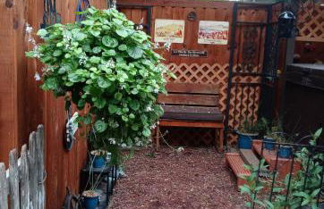 La Villa By The Riverwalk - Photo 42