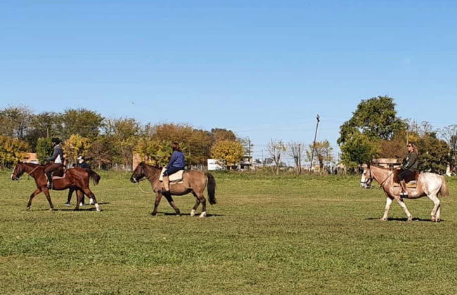 Horse Riding in Carlos Keen - Photo 7