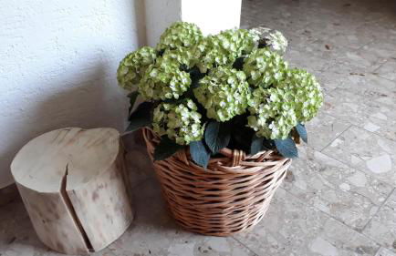 Isoldes Landhaus - Foto 47