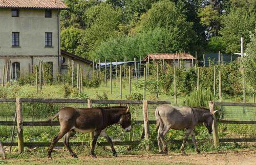 Agriturismo Brusignone - Foto 7