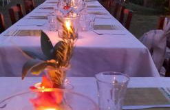 Azienda Agricola Biologica La Cardellina - Foto 12