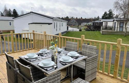 Daffy Duck - Foto 10