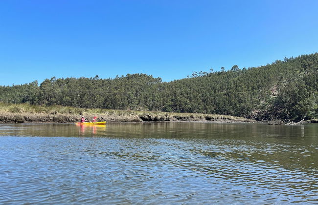 Casa Rural O Vilar - Photo 64