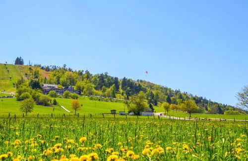 Fewo Willingenliebe Meinecardplus - Foto 25