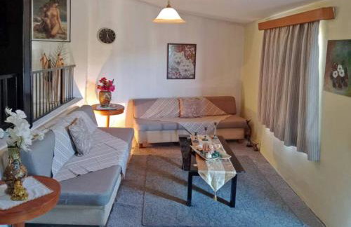 Παραδοσιακό σπιτι frozen - Foto 1