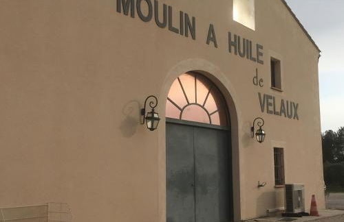 Gites Velaux Ecureuil et Pinède - Photo 22