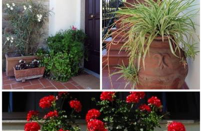 Appartamento il Veggio - Photo 14