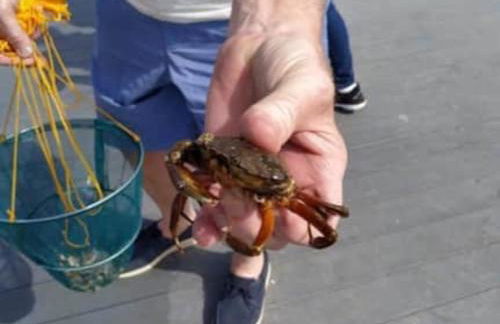 Cosy Little Home By The Sea - Foto 72