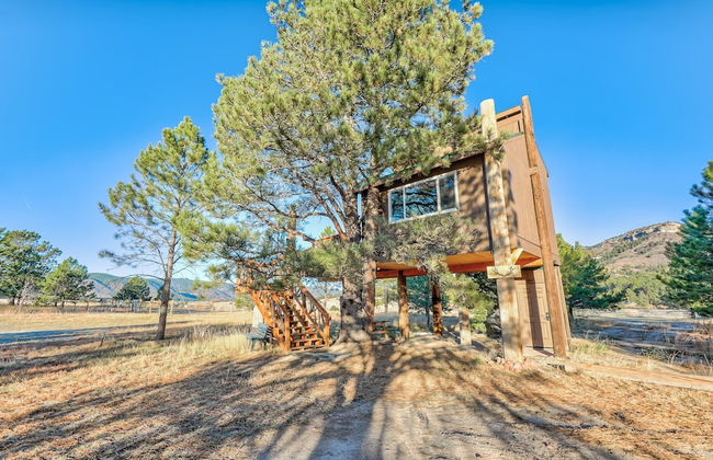 Tree Deer Blind - Foto 23