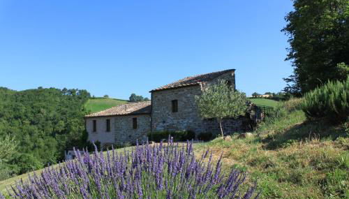Agriturismo Carincone - Foto 3, Garden