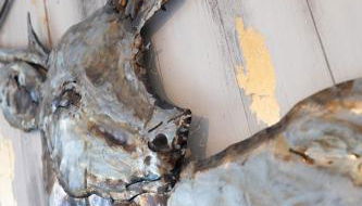 Appartement T3 portes d'Annecy Sauna - Foto 3