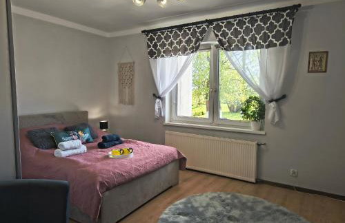 DOM w JESIONACH Brajniki - działka 1 HEKTAR - Photo 60