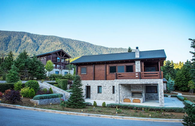 Aelia Hospitality Parnassos - Foto 22