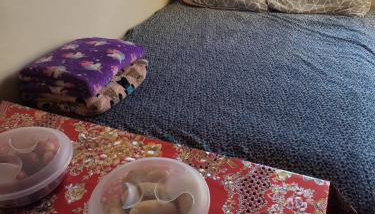 Loft Praia da Vila - Foto 5