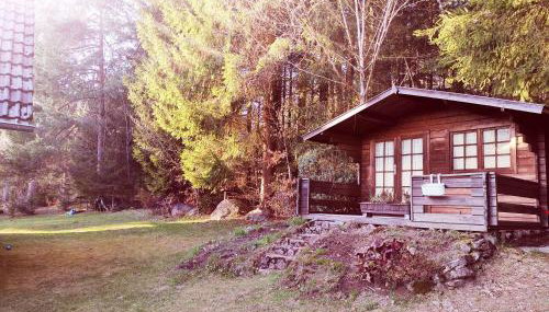 "Haus Daxberg" idyllisch gelegen im Bayerischen Wald - Foto 4