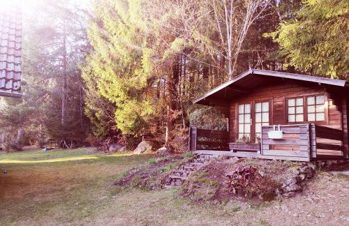 "Haus Daxberg" idyllisch gelegen im Bayerischen Wald - Foto 4