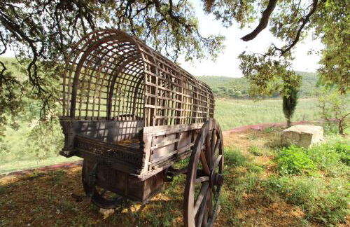 Masia Heredad La Boquilla - Foto 75