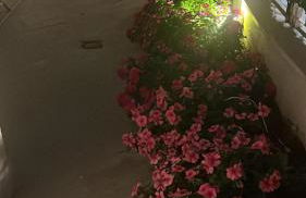 Aria di Mare - Foto 18