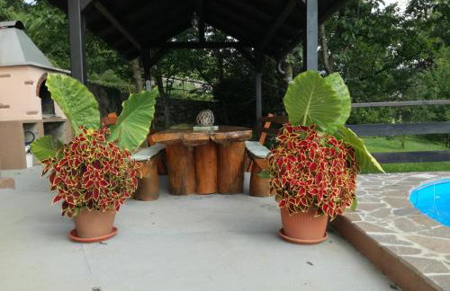 Apartman Mimi - Foto 12