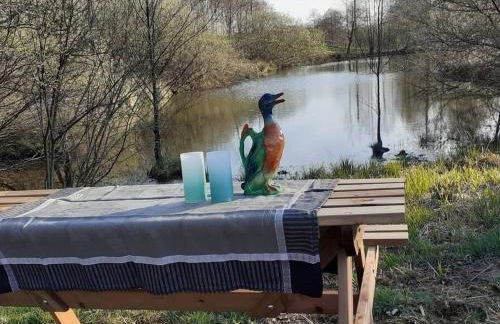 Charmante maisonnette en pierre près d'Épinal - FR-1-589-804 - Foto 13