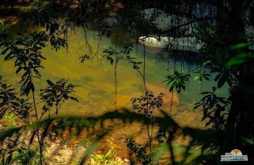 Casa do Sanca - Foto 36