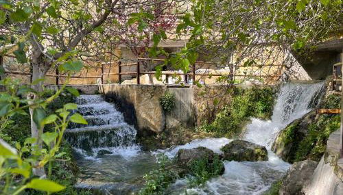 La Rosita alojamiento rural - Foto 4
