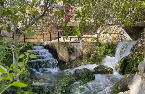 La Rosita alojamiento rural - Foto 4