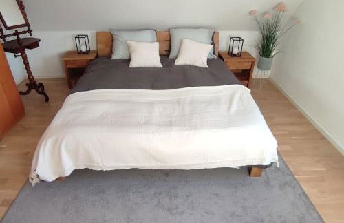 Top Ferienwohnung am Waldrand mit großem Balkon - Foto 11