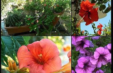 Silvi Mari Apartments - Foto 37