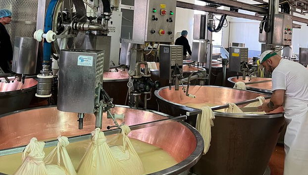 Ferrari, Parmesan and Balsamic Day Tour from Bologna - Photo 5