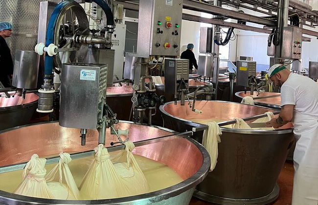 Ferrari, Parmesan and Balsamic Day Tour from Bologna - Photo 5