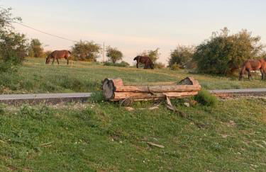 Cabañas Buenache - Foto 29