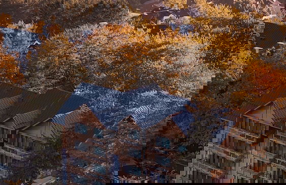 Forest Park Resort & SPA - Foto 30